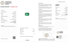 IGI Certified Natural Emerald | 0.73 Carat Emerald Cut | Luxury Gemstone-Saleh Sallom