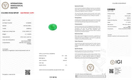 IGI Certified Natural Emerald | 3.11 Carats Oval Mixed Cut | Luxury Gemstone-Saleh Sallom