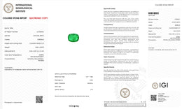 IGI Certified Natural Emerald | 5.84 Carats Cushion Mixed Cut | Exceptional Collector Gemstone-Saleh Sallom