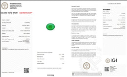 IGI Certified Natural Emerald Cabochon | 5.62 Carats | Rich Green Collector Gemstone-Saleh Sallom