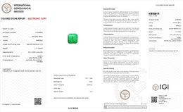 IGI Certified Natural Emerald | 1.17 Carats Square Emerald Cut | Rich Green Fine Gemstone-Saleh Sallom
