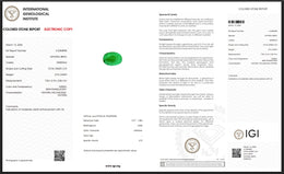 IGI Certified Natural Emerald | 0.76 Carat Oval Mixed Cut | Elegant Green Fine Gemstone-Saleh Sallom