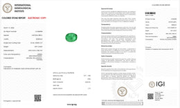 IGI Certified Natural Emerald | 0.87 Carat Oval Mixed Cut | Elegant Green Fine Gemstone-Saleh Sallom