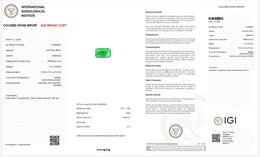 IGI Certified Natural Emerald | 3.13 Carats Emerald Cut | Rich Green Collector Gemstone-Saleh Sallom