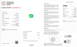 IGI Certified Natural Emerald | 3.42 Carats Oval Mixed Cut | Rich Green Collector Gemstone-Saleh Sallom