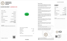 IGI Certified Natural Emerald | 1.11 Carats Oval Mixed Cut | Fine Green Collector Gemstone-Saleh Sallom