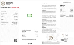 IGI Certified Natural Green Beryl | 1.89 Carats Emerald Cut | Rare Yellowish Green Collector Gemstone-Saleh Sallom