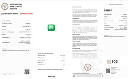 IGI Certified Natural Emerald | 1.19 Carats Square Emerald Cut | Fine Green Collector Gemstone-Saleh Sallom