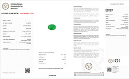 IGI Certified Natural Emerald | 0.84 Carat Oval Mixed Cut | Fine Green Collector Gemstone-Saleh Sallom