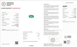 IGI Certified Natural Emerald | 1.10 Carat Oval Mixed Cut | Fine Green Collector Gemstone-Saleh Sallom