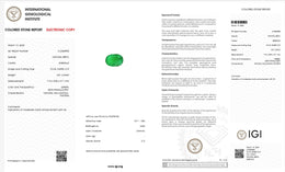 IGI Certified Natural Emerald | 0.91 Carat Oval Mixed Cut | Fine Green Collector Gemstone-Saleh Sallom