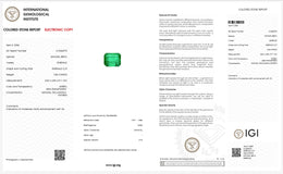 IGI Certified Natural Emerald | 2.54 Carats Emerald Cut | Fine Green Collector Gemstone-Saleh Sallom