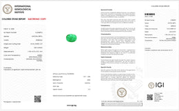 IGI Certified Natural Emerald | 3.83 Carats Oval Mixed Cut | Fine Green Collector Gemstone-Saleh Sallom