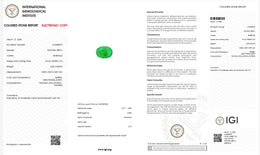 IGI Certified Natural Emerald | 3.28 Carats Oval Mixed Cut | Fine Green Gemstone-Saleh Sallom