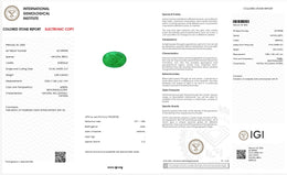 IGI Certified Natural Emerald | 2.55 Carats Oval Mixed Cut | Fine Green Gemstone-Saleh Sallom