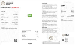 IGI Certified Natural Green Beryl | 1.27 Carats Emerald Cut | Fine Yellowish Green Gemstone-Saleh Sallom