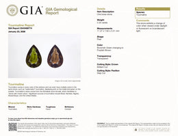 2.35 Ct Color Change Tourmaline | GIA Certified Color Change Tourmaline | Pear Cut Collector Gemstone