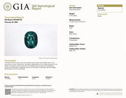 6.78 Ct Natural Blue-Green Tourmaline | GIA Certified Transparent Tourmaline | Luxury Oval Cut Gemstone