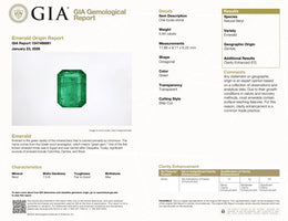 5.94 Ct Natural Zambian Emerald | GIA Certified Octagonal Step Cut Emerald | Collector Gemstone