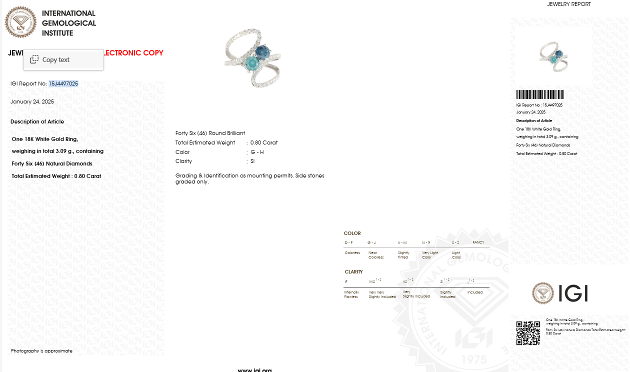 Natural Blue Diamond Designer Ring | 1.02 CT Center Diamond | 1.82 CT Natural Diamonds | 18K White Gold | IGI Certified | Saleh Sallom Secondary image