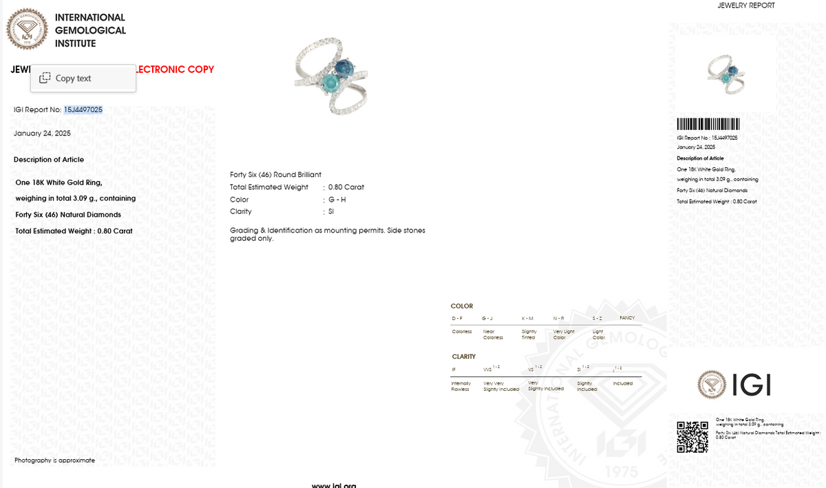 Natural Blue Diamond Designer Ring | 1.02 CT Center Diamond | 1.82 CT Natural Diamonds | 18K White Gold | IGI Certified | Saleh Sallom