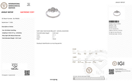 Natural Diamond Halo Three-Stone Ring | 0.25 CT Natural Diamonds | 18K White Gold | IGI Certified | Saleh Sallom Jewelry