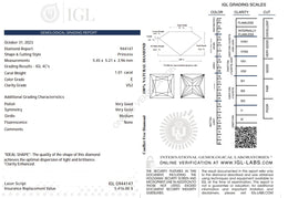 1.01 Carat Natural Princess-Cut Diamond – E Color, VS2 Clarity | IGL Certified