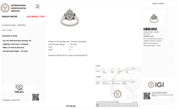 14K White Gold with Natural Diamond Cluster-Saleh Sallom