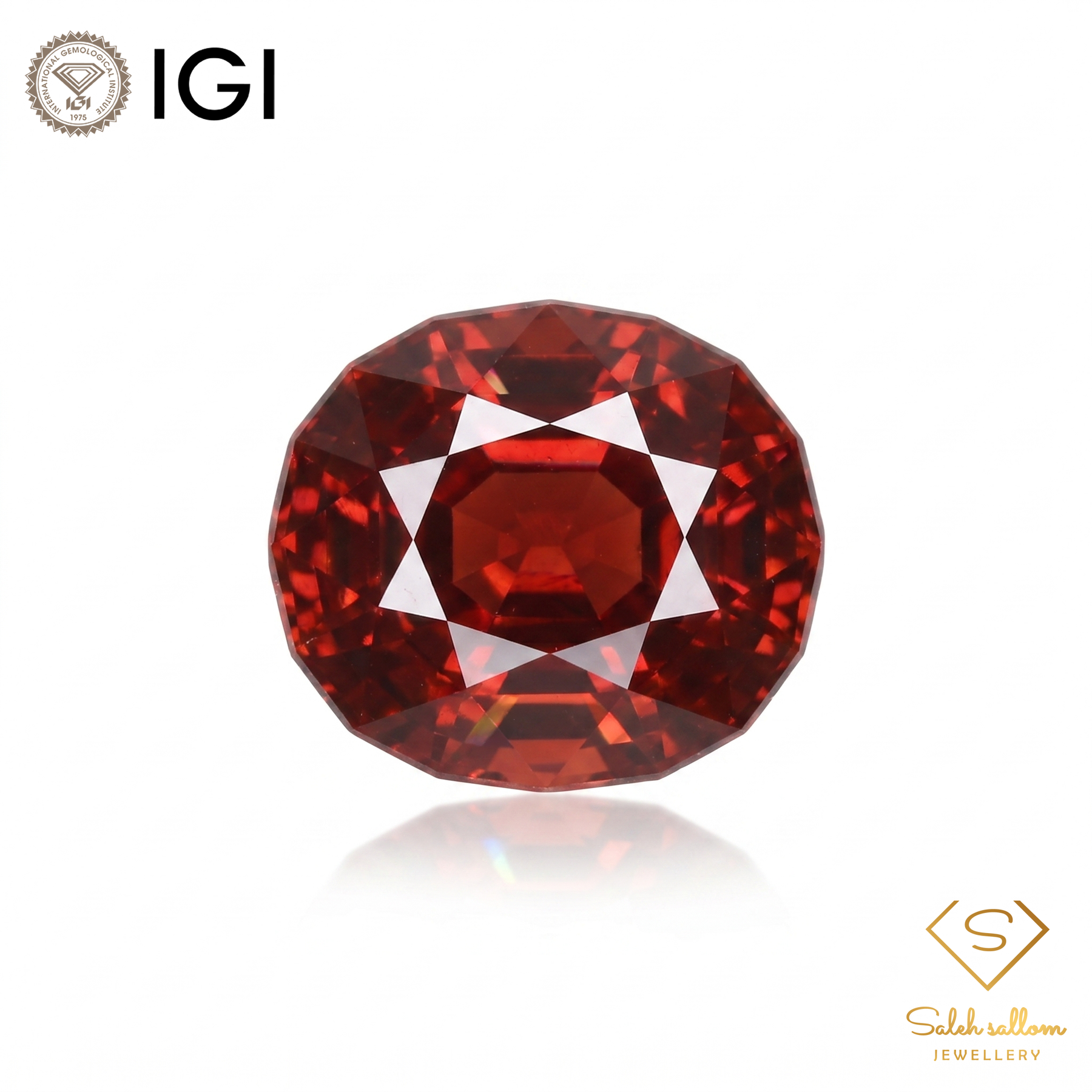 IGI Certified Fiery Red Garnet | 2.58 Carat Oval Cut | Elegant Statement Gem