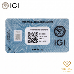 IGI Certified Heated Blue Sapphire | 0.83 Carat Oval Mixed Cut-Saleh Sallom