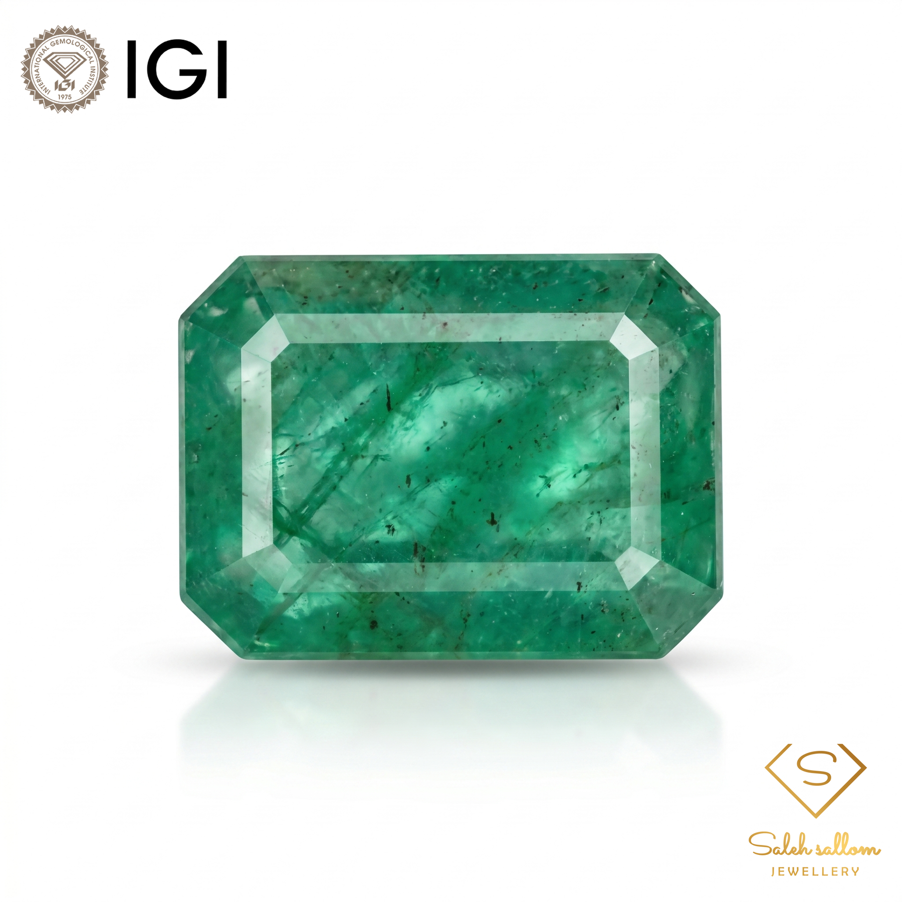 IGI Certified Natural Emerald | 6.85 Carats Emerald Cut | Significant Oil Enhancement-Saleh Sallom