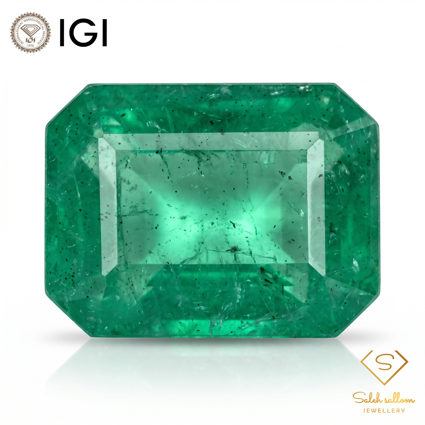 IGI Certified Natural Emerald | 3.13 Carats Emerald Cut | Luxury Gemstone-Saleh Sallom