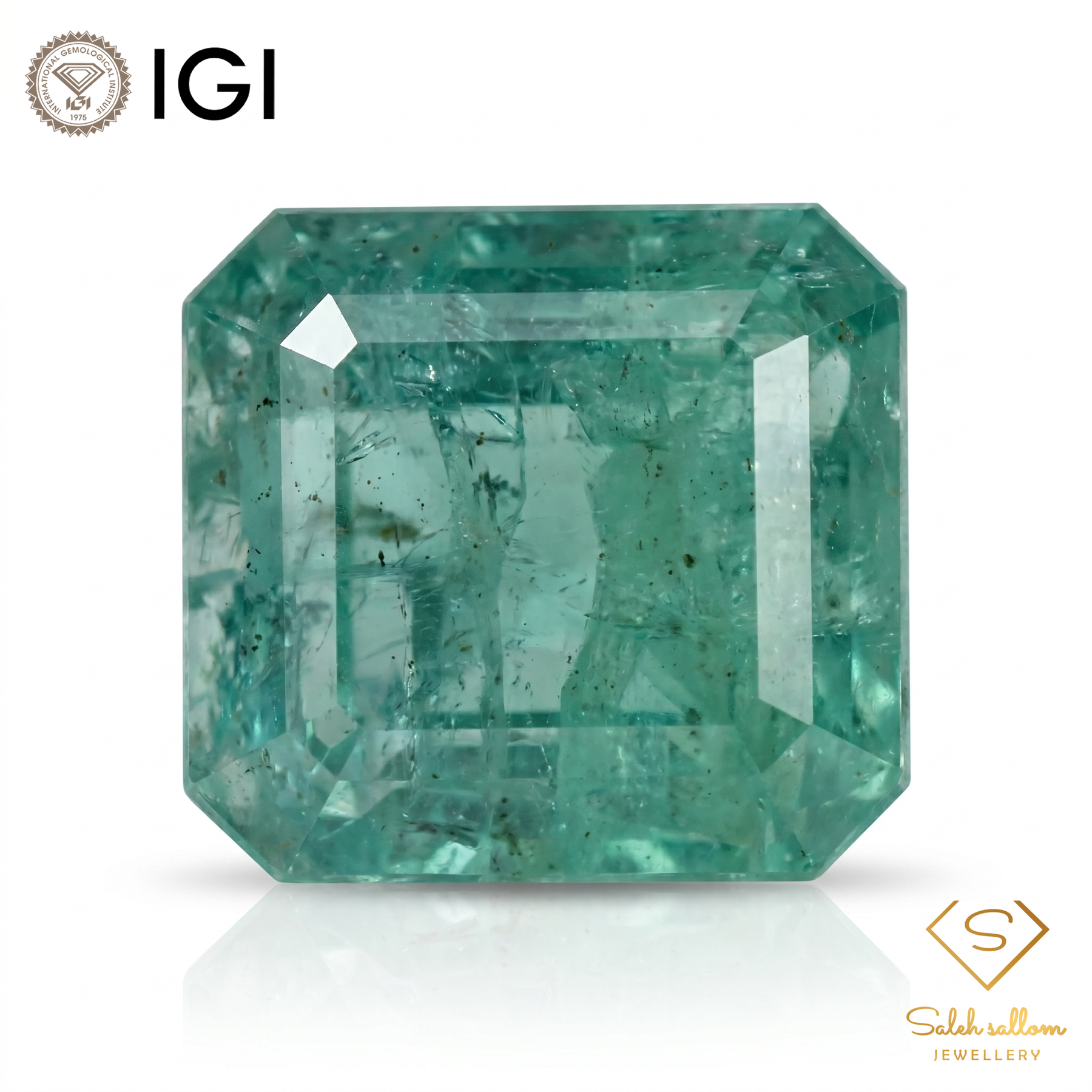 IGI Certified Natural Emerald | 9.22 Carats Emerald Cut | Luxury Collector Gemstone-Saleh Sallom