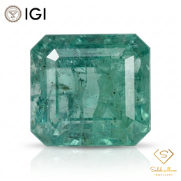 IGI Certified Natural Emerald | 9.22 Carats Emerald Cut | Luxury Collector Gemstone-Saleh Sallom