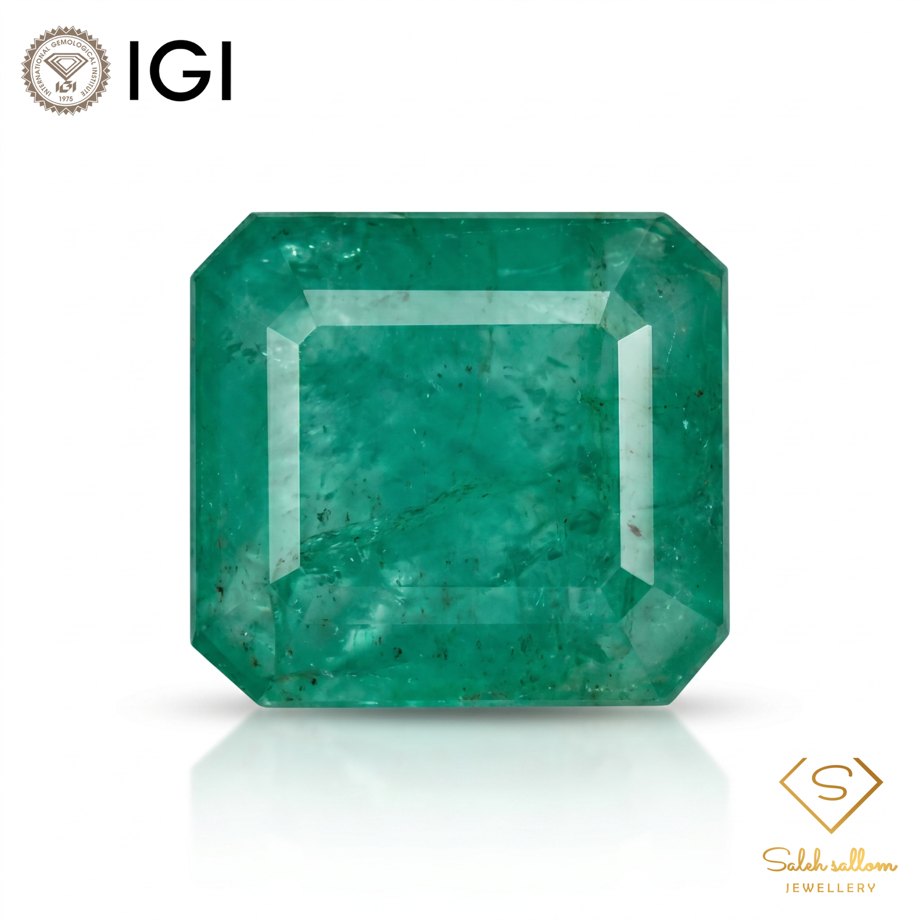 IGI Certified Natural Emerald | 7.18 Carats Emerald Cut | Luxury Collector Gemstone-Saleh Sallom