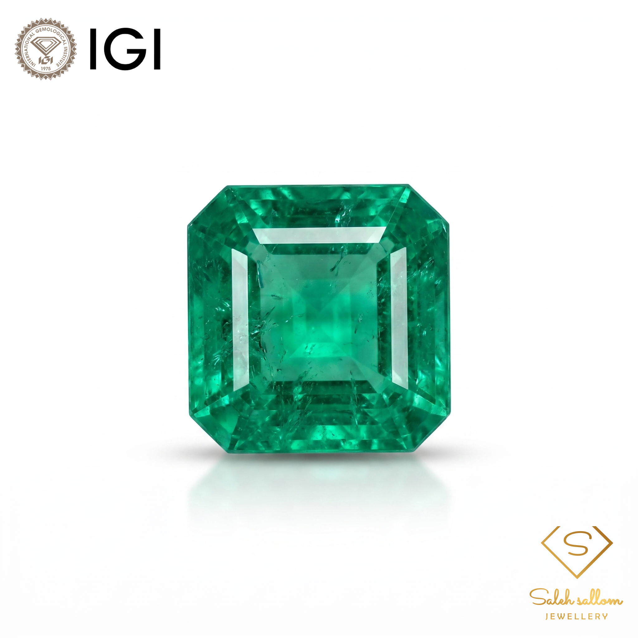 IGI Certified Natural Emerald | 0.63 Carat Square Emerald Cut | Luxury Gemstone-Saleh Sallom Main image