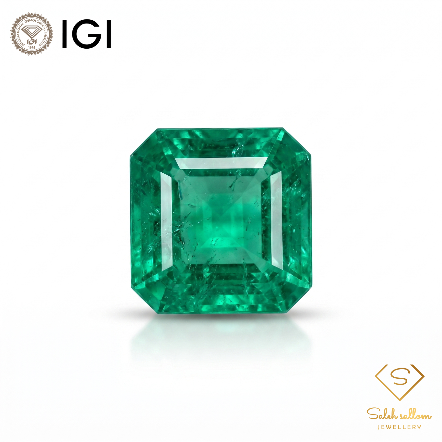 IGI Certified Natural Emerald | 0.63 Carat Square Emerald Cut | Luxury Gemstone-Saleh Sallom