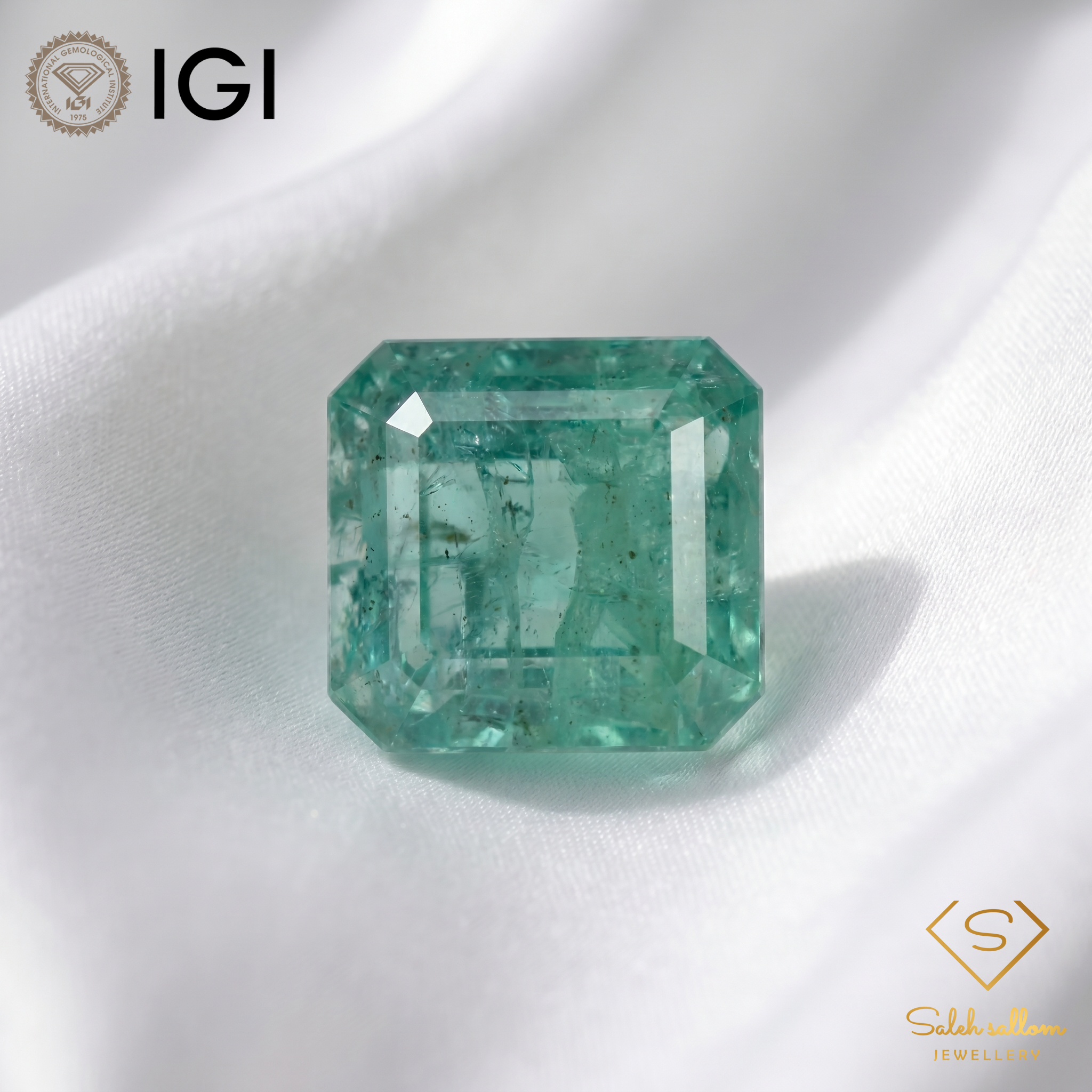 IGI Certified Natural Emerald | 9.22 Carats Emerald Cut | Luxury Collector Gemstone Secondary image