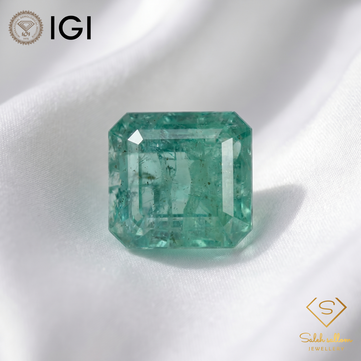 IGI Certified Natural Emerald | 9.22 Carats Emerald Cut | Luxury Collector Gemstone-Saleh Sallom
