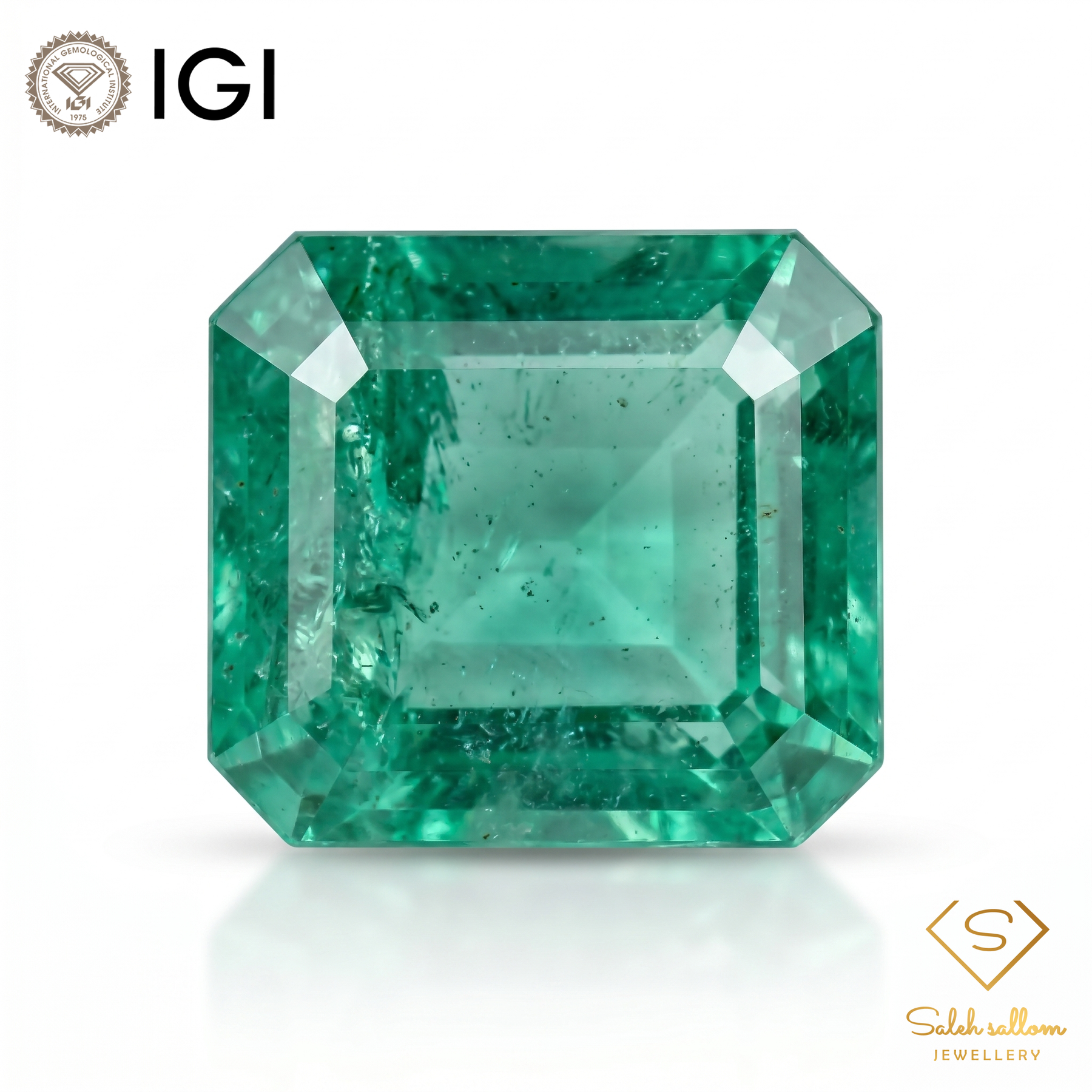 IGI Certified Natural Emerald | 0.95 Carat Emerald Cut | Luxury Gemstone-Saleh Sallom