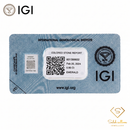 IGI Certified Natural Emerald | 0.95 Carat Emerald Cut | Luxury Gemstone-Saleh Sallom