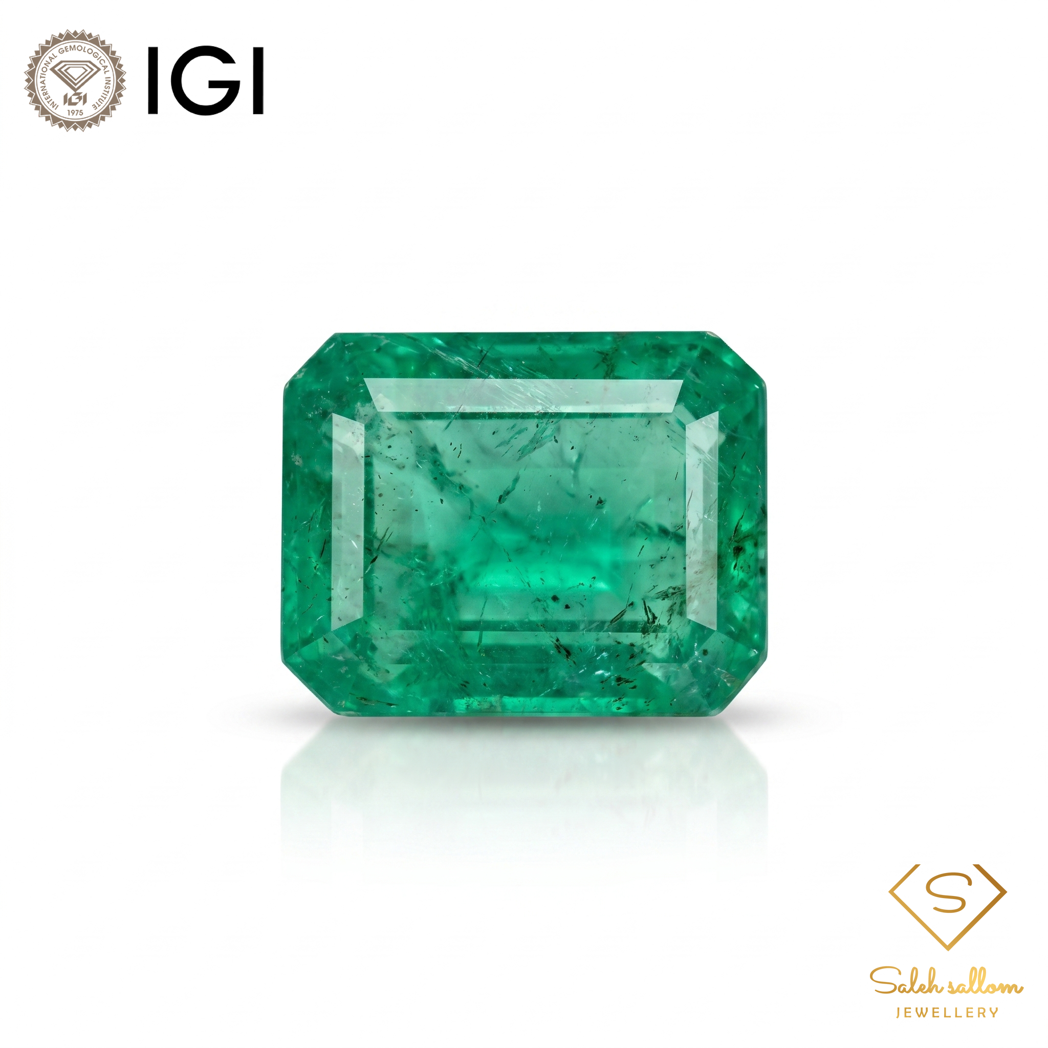 IGI Certified Natural Emerald | 1.02 Carat Emerald Cut | Luxury Gemstone-Saleh Sallom Main image