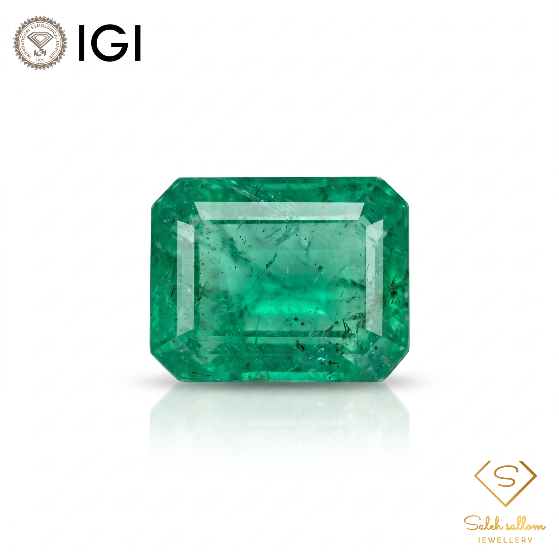 IGI Certified Natural Emerald | 1.02 Carat Emerald Cut | Luxury Gemstone-Saleh Sallom