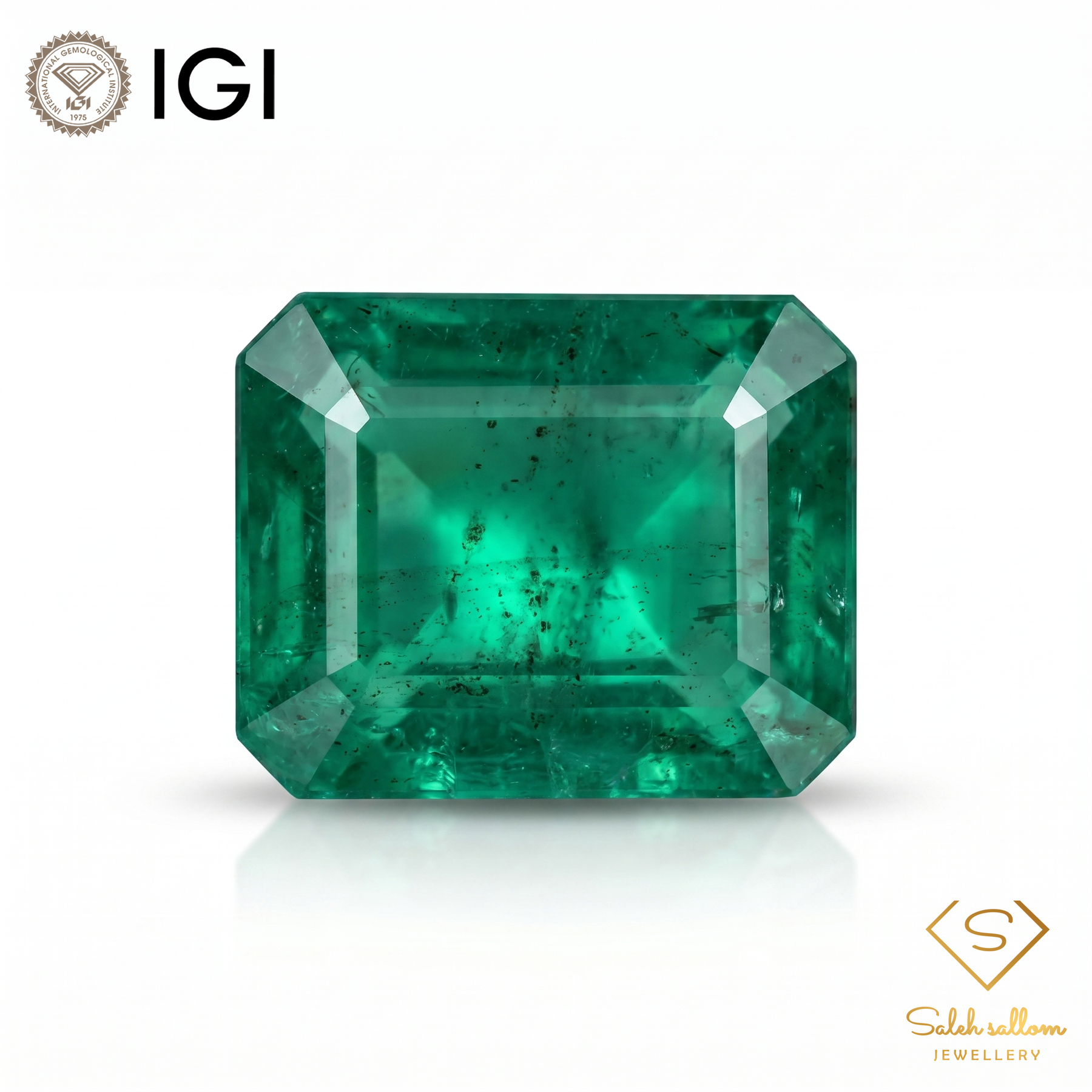IGI Certified Natural Emerald | 7.63 Carats Emerald Cut | Luxury Collector Gemstone-Saleh Sallom
