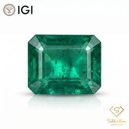 IGI Certified Natural Emerald | 7.63 Carats Emerald Cut | Luxury Collector Gemstone-Saleh Sallom