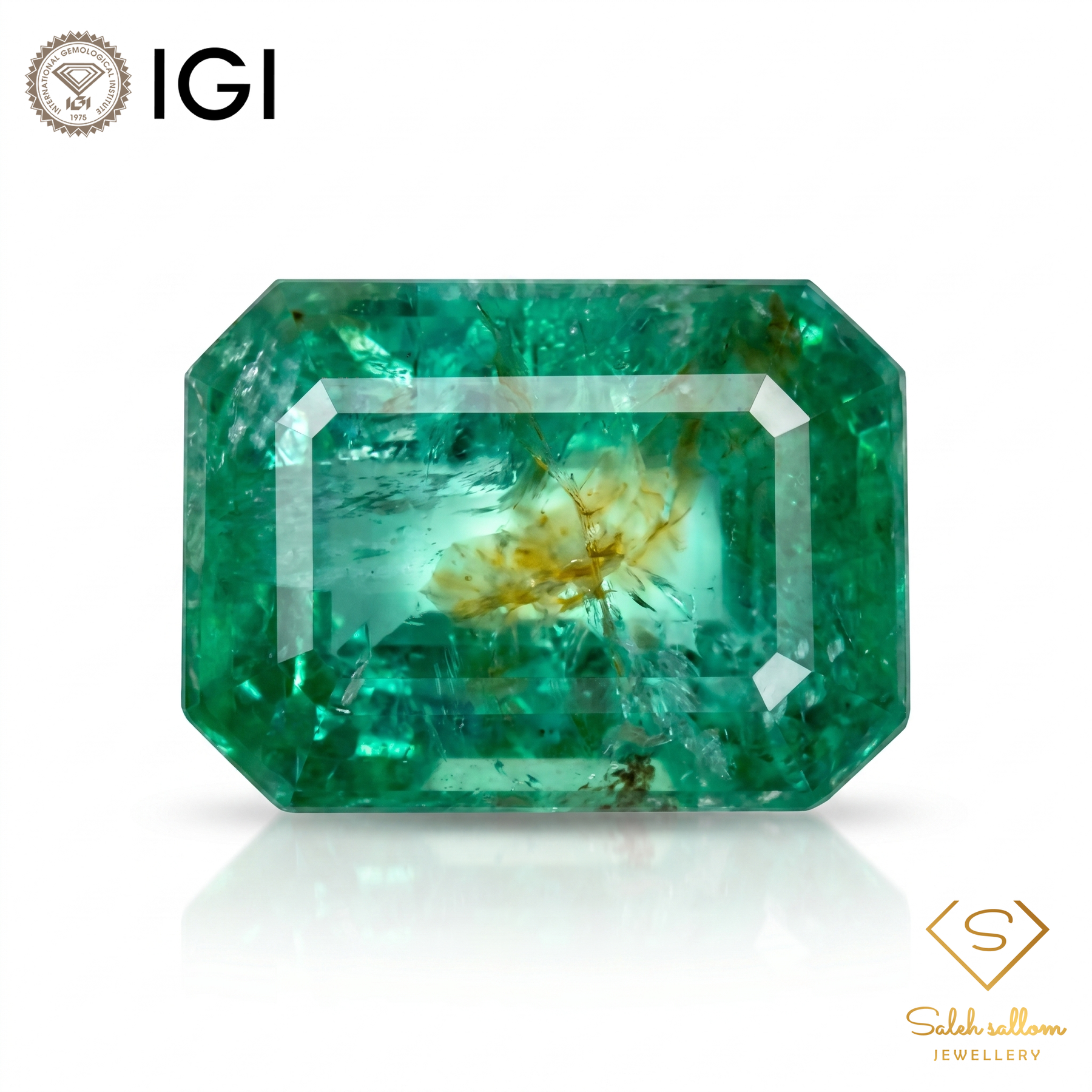 IGI Certified Natural Emerald | 0.62 Carat Emerald Cut | Luxury Gemstone-Saleh Sallom