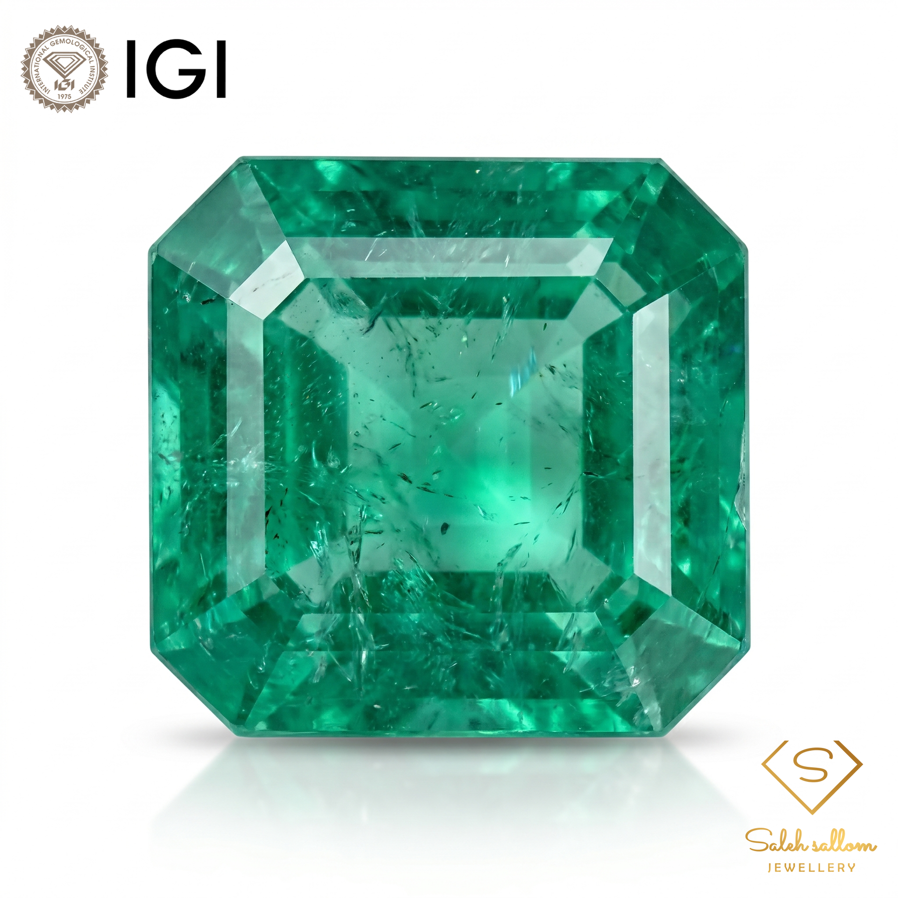 IGI Certified Natural Emerald | 1.02 Carat Square Emerald Cut | Luxury Gemstone-Saleh Sallom