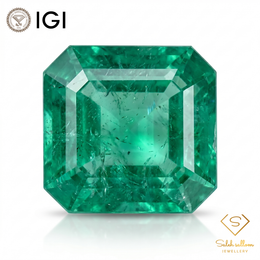 IGI Certified Natural Emerald | 1.02 Carat Square Emerald Cut | Luxury Gemstone-Saleh Sallom