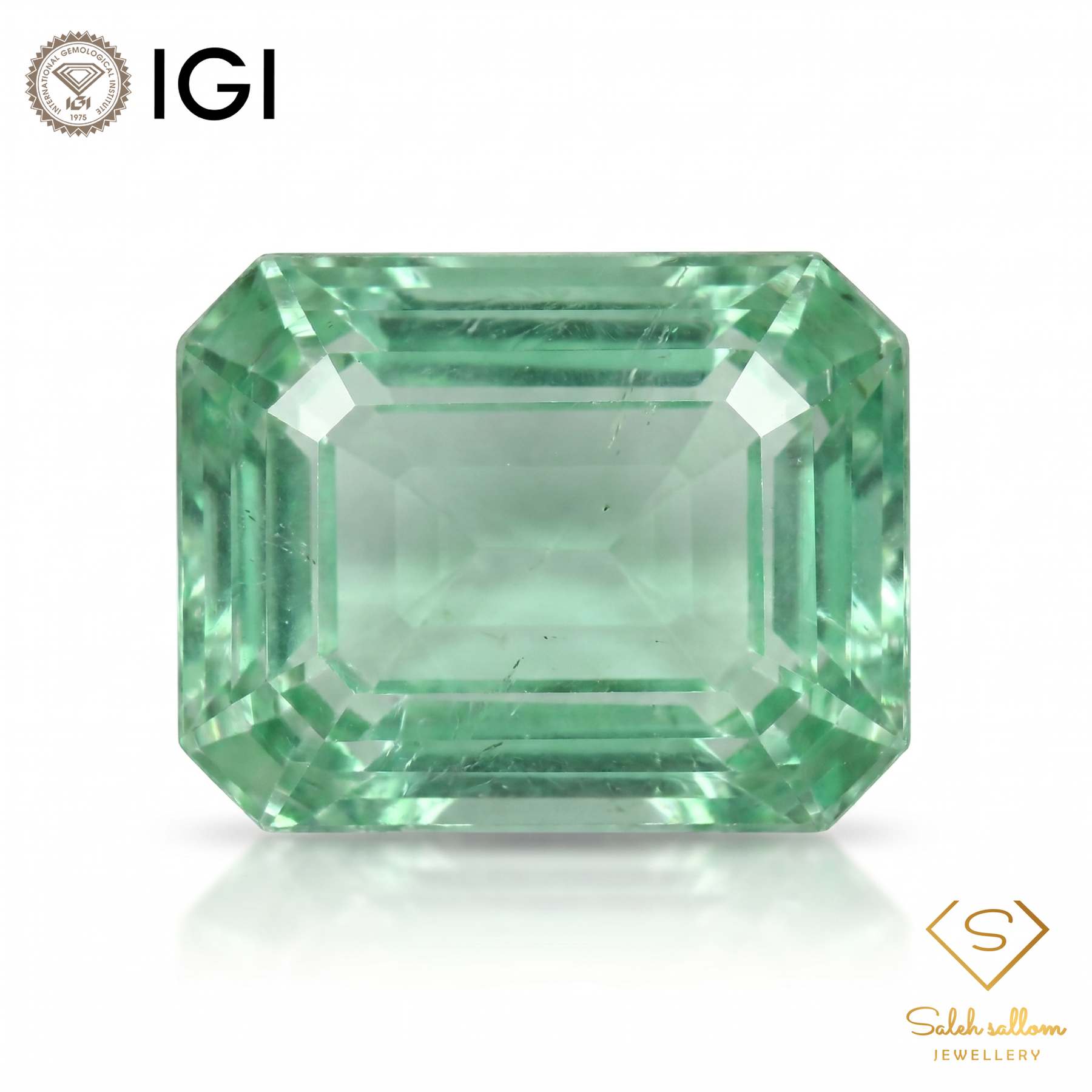 IGI Certified Natural Emerald | 1.25 Carats Emerald Cut | Luxury Gemstone-Saleh Sallom