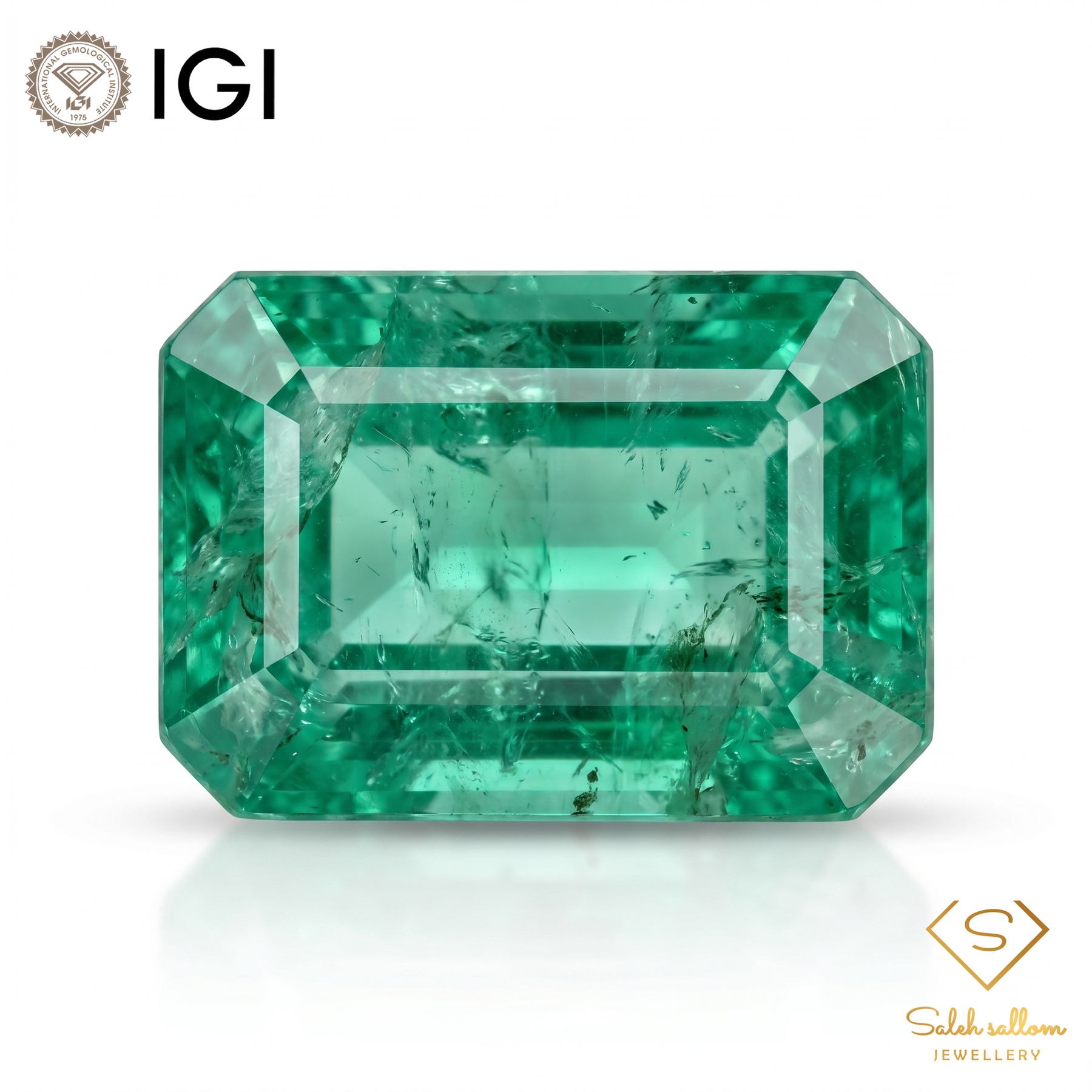 IGI Certified Natural Emerald | 0.73 Carat Emerald Cut | Luxury Gemstone-Saleh Sallom